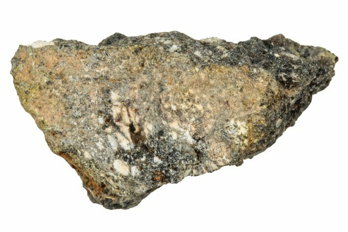 Howardite Meteorite ( g) - Bechar #348276